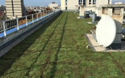 Toiture terrasse inaccessible végétalisé